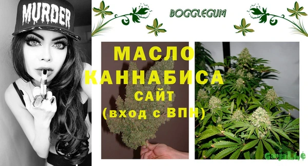 крисы Алзамай