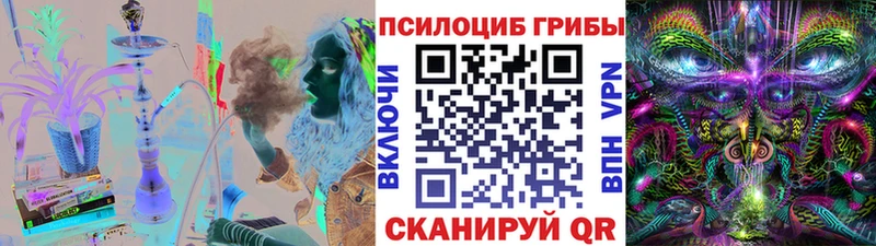 где найти   Закаменск  Псилоцибиновые грибы GOLDEN TEACHER 